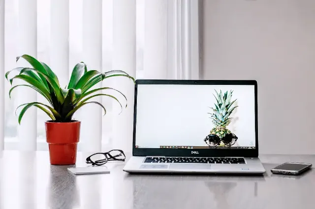 AI-Powered Jewelry Photo Editing Software: A Guide for Growing Brands