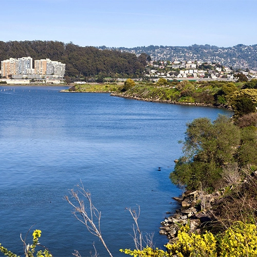 Albany, California, Lake