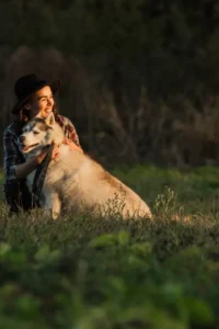 dog photos with your mobile phone