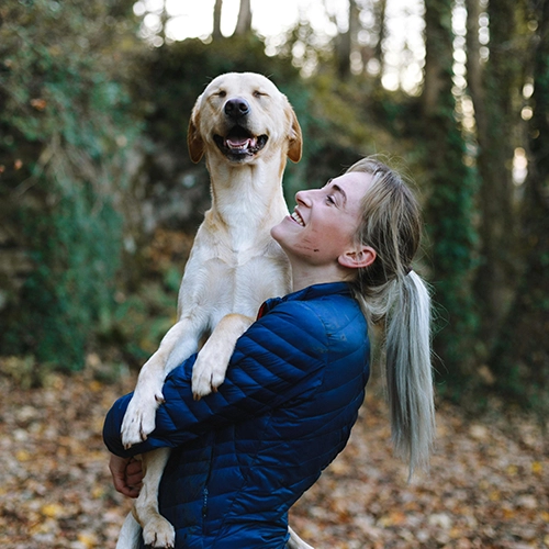 pet and animals photo editing