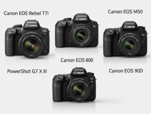 Top 5 Canon Cameras for Beginners with Amazing Image Quality