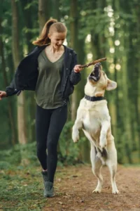 Use Burst Mode to Catch the Action