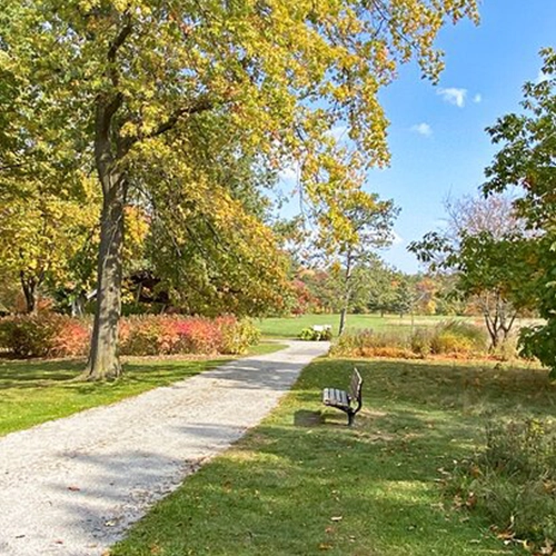 Arboretum Sunnidale Park