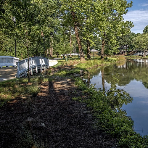 Atlanta, Park, Landscape