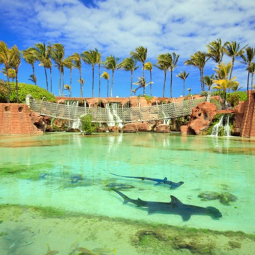 Atlantis Paradise Island