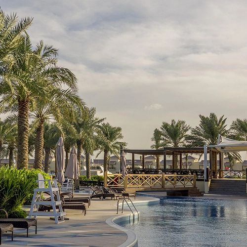 Bahrain, Palm, Tree