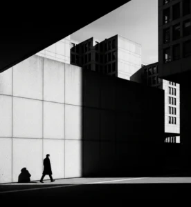 Bold Shapes and Clean Lines