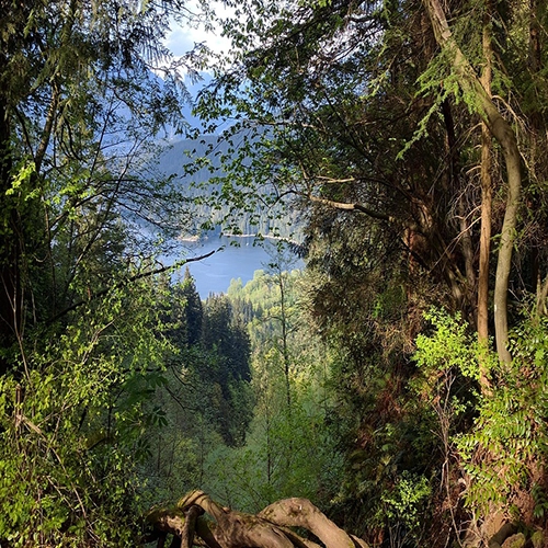 Burnaby mountain, Burnaby, British columbia