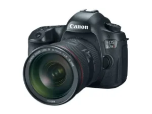 Best Cameras for Macro