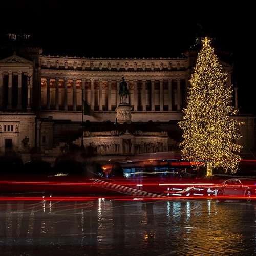 Christmas tree, Building, Urban