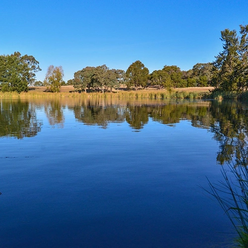 Lake, Blue, Canberra