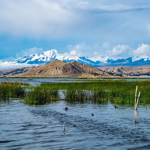 Lake titicaca, Nature, Bolivia