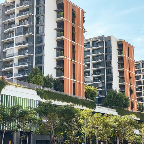 Neighbourhood of the week