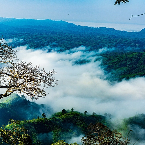 Sajek, Bangladesh, Nature