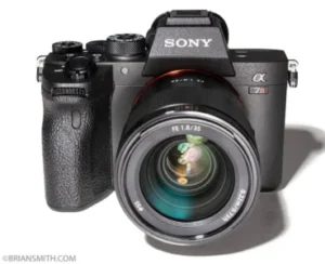 Best Cameras for Macro