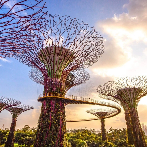 gardens-by-the-bay-singapore