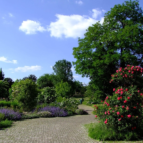 Botanical garden, Nature, Dusseldorf