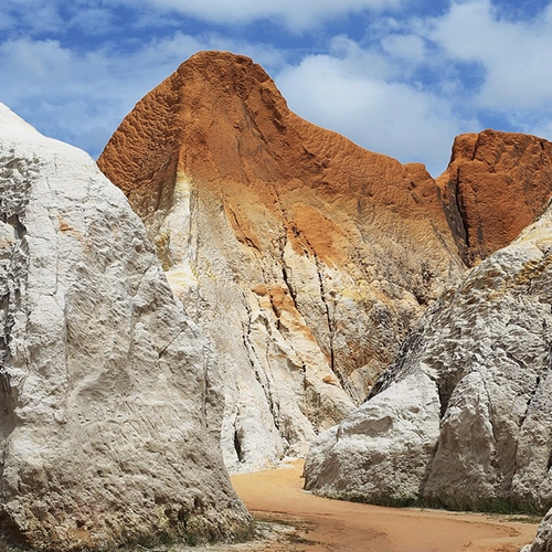Brazil, Fortaleza, Nature