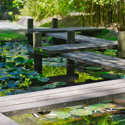 Cartago, Nature, Costa rica