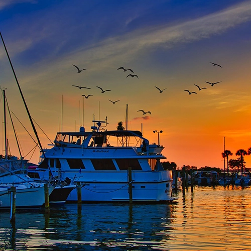 Dunedin, Boat, Sunset