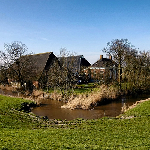 Farm, Groningen, Warffum