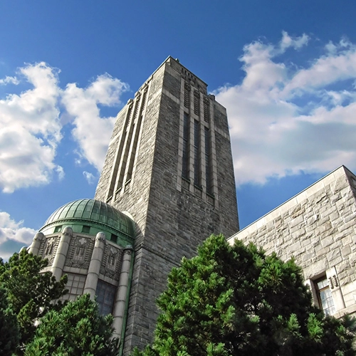 Kallio church, Helsinki, Nature