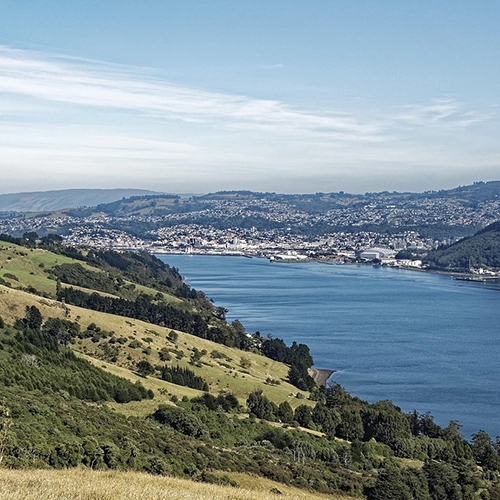 New zealand, Otago harbour, Natural harbour