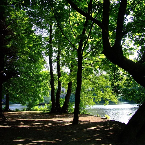 Park, Swan mirror, Dusseldorf