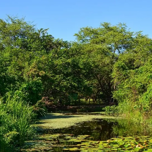 Parks in Fortalez Coco Park