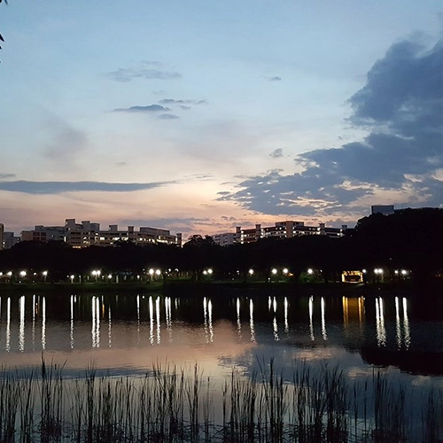 Punggol Park