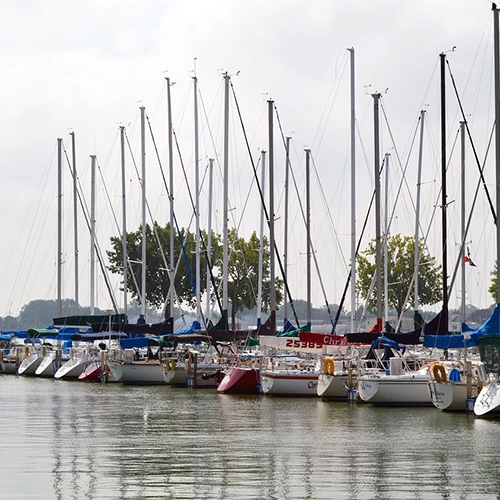 Sailboats, Bay, Nature