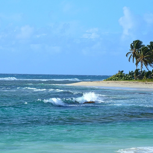 Trade winds, Beach, Nature
