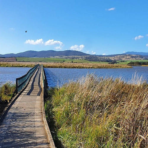 Tamar Island Wetlands