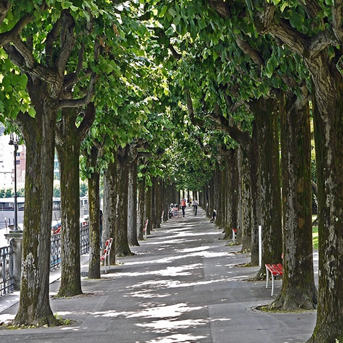 Lugano, Lake promenade, Avenue