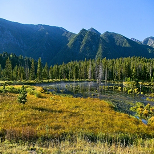 Madison river scenery, Montana, River