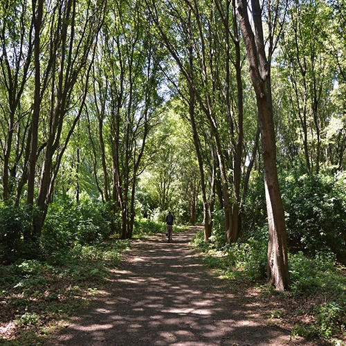 Malmö, Ribersborg, Sweden i