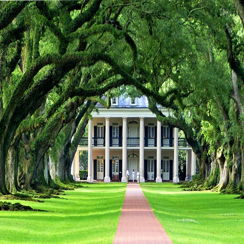 Nature, Plantation, Louisiana