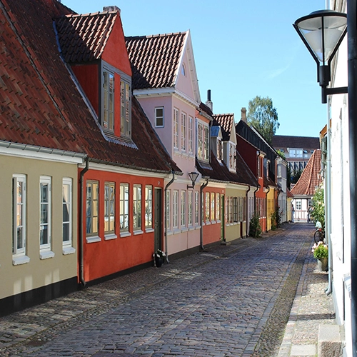 Bangs, Boder, Odense