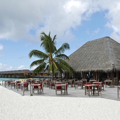 Beach, Maldives, Nature