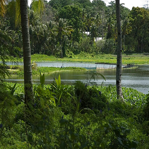 Buada Lagoon, Nauru