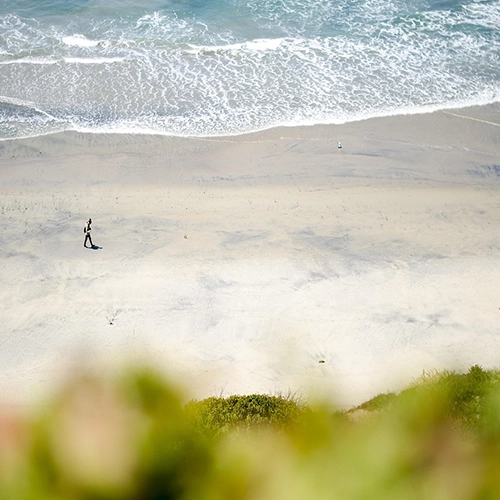 California, San Diego Nature, Beach