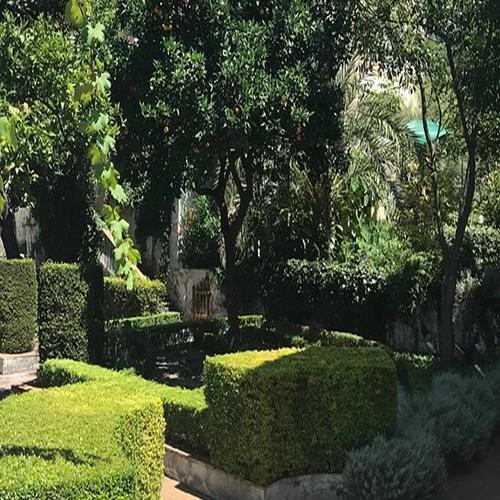 Giardino della Minerva