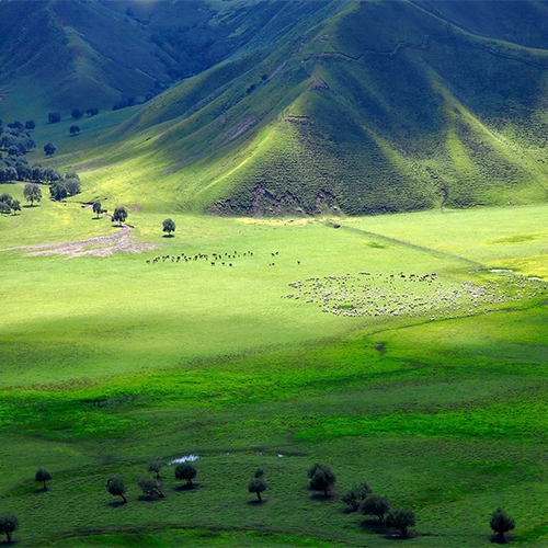 Inner mongolia, Horqin