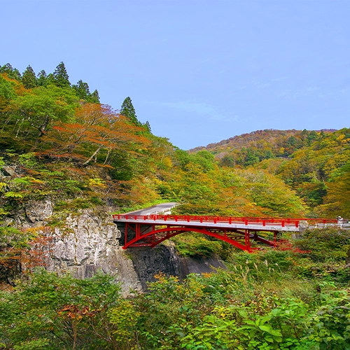 Japan, Autumnal leaves, Akiyamago