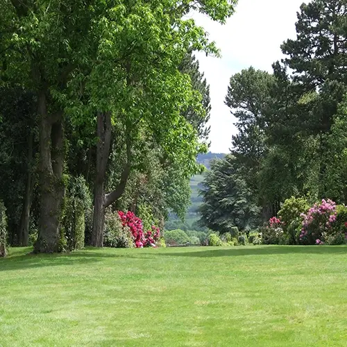 Landscape, Garden, Sheffield