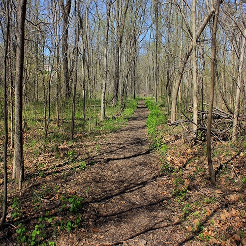 Missouri, St louis, Nature