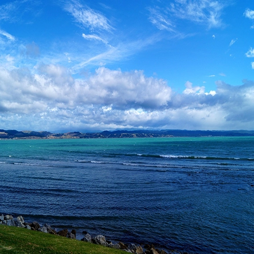 Morze, Nowa zelandia, Napier