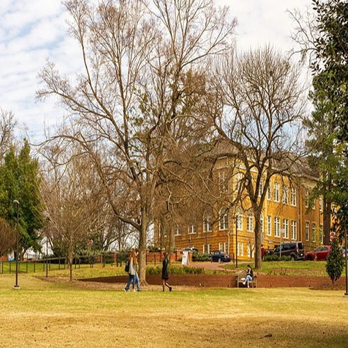 Nc state, North carolina state, Nc state campus