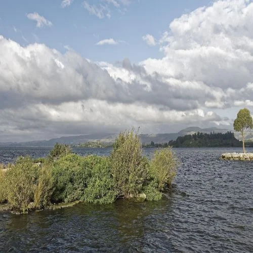 New zealand, Lake rotorua, Lake