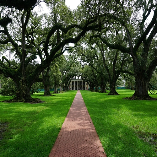 Oak alley, Plantation, New orleans